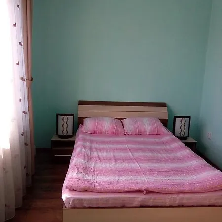 Guest house Casa Toma Sovata